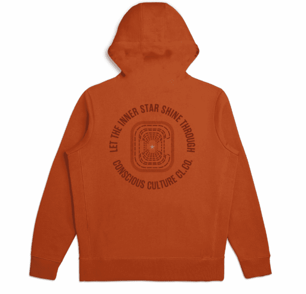 Illumination Heavy Weight Hoodie – Clay - Image 2